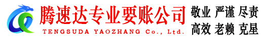 嵊州讨账公司